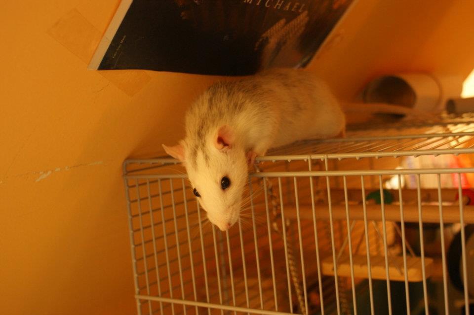 405804_2970392107249_1267344662_n