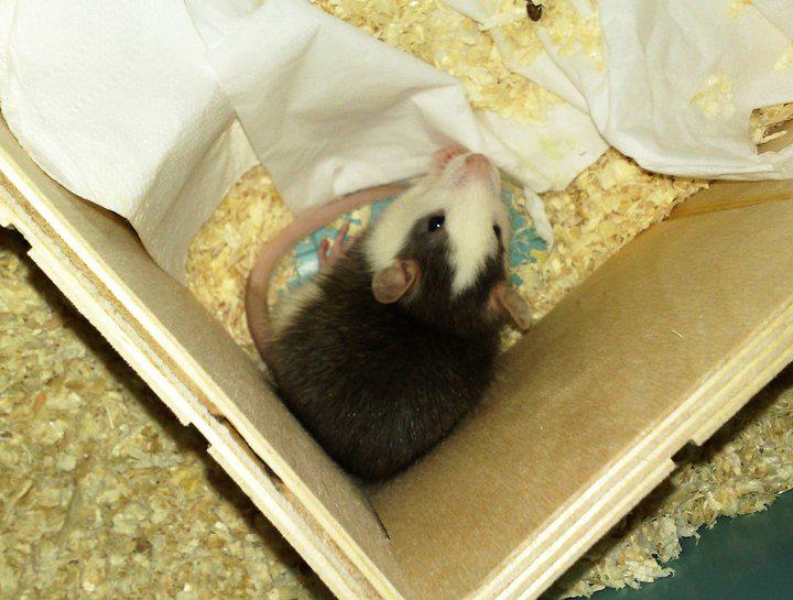 408778_2970385787091_1613727512_n